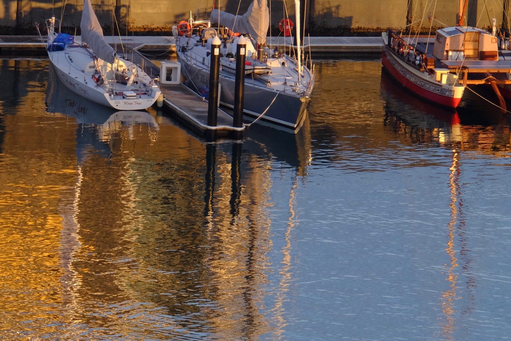 Yachts on a golden sea by dkbarnett