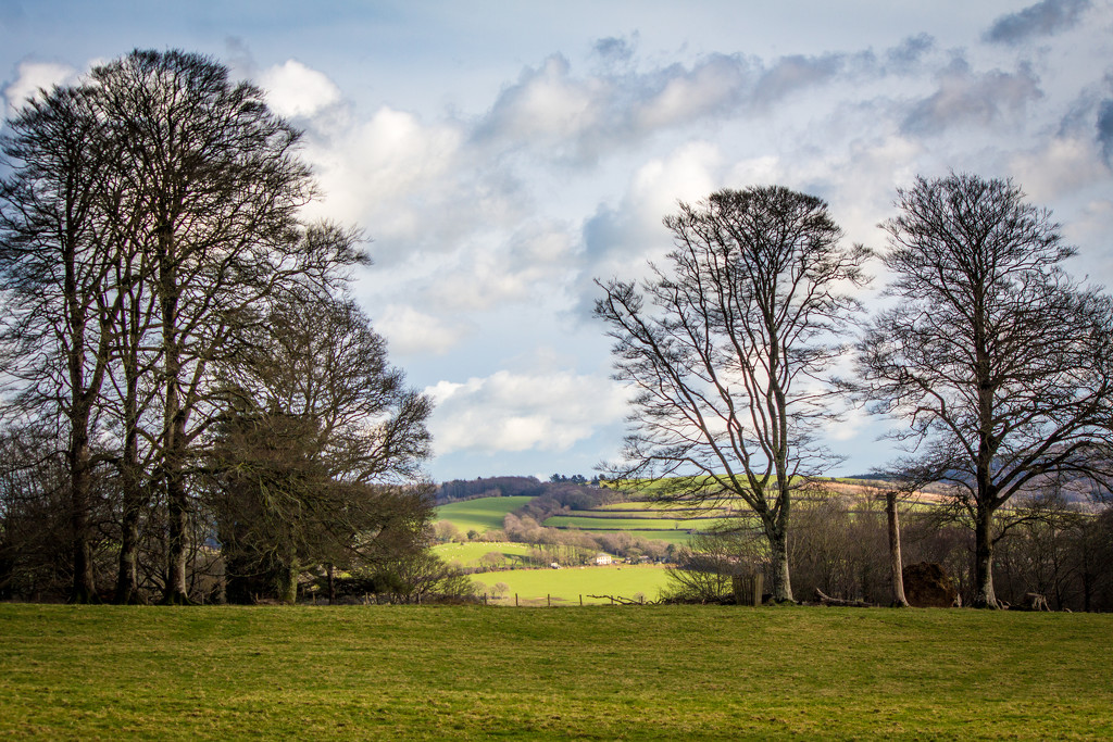 Cornish Landscape - Lanhydrock  by swillinbillyflynn