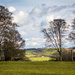 Cornish Landscape - Lanhydrock  by swillinbillyflynn