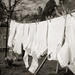 March - Washing by newbank