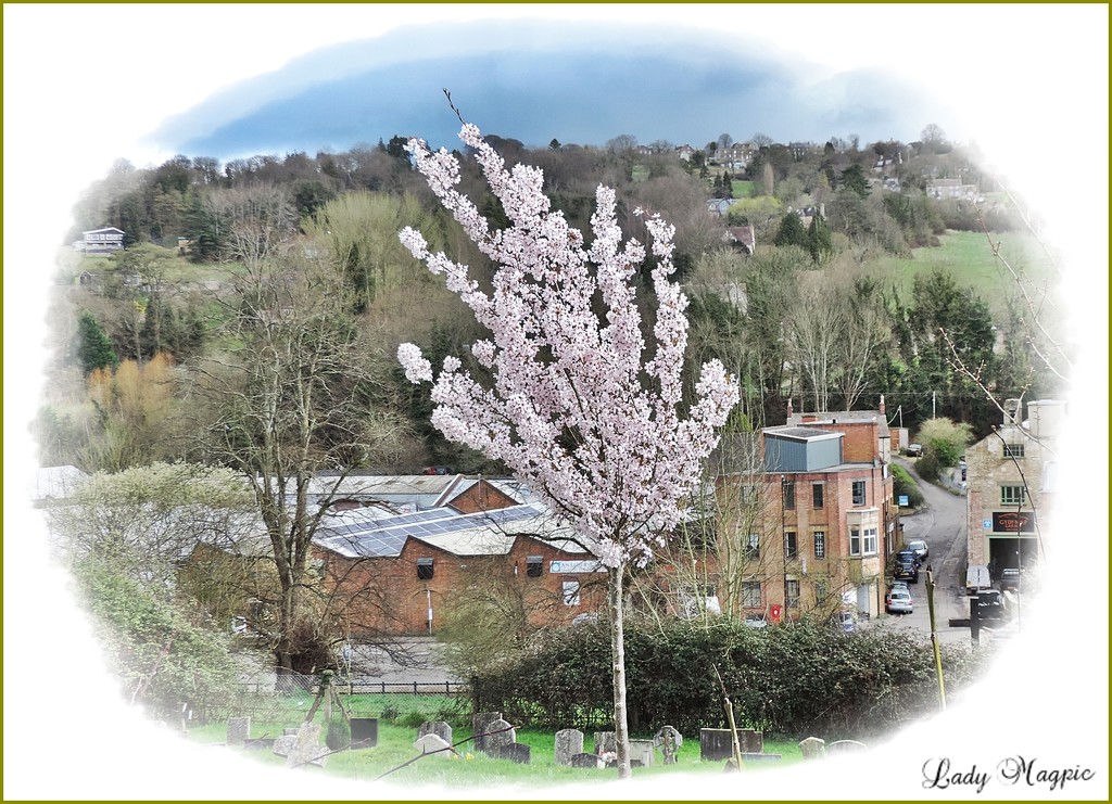 Old Mills, Valleys and Blossom. by ladymagpie