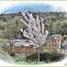 Old Mills, Valleys and Blossom. by ladymagpie
