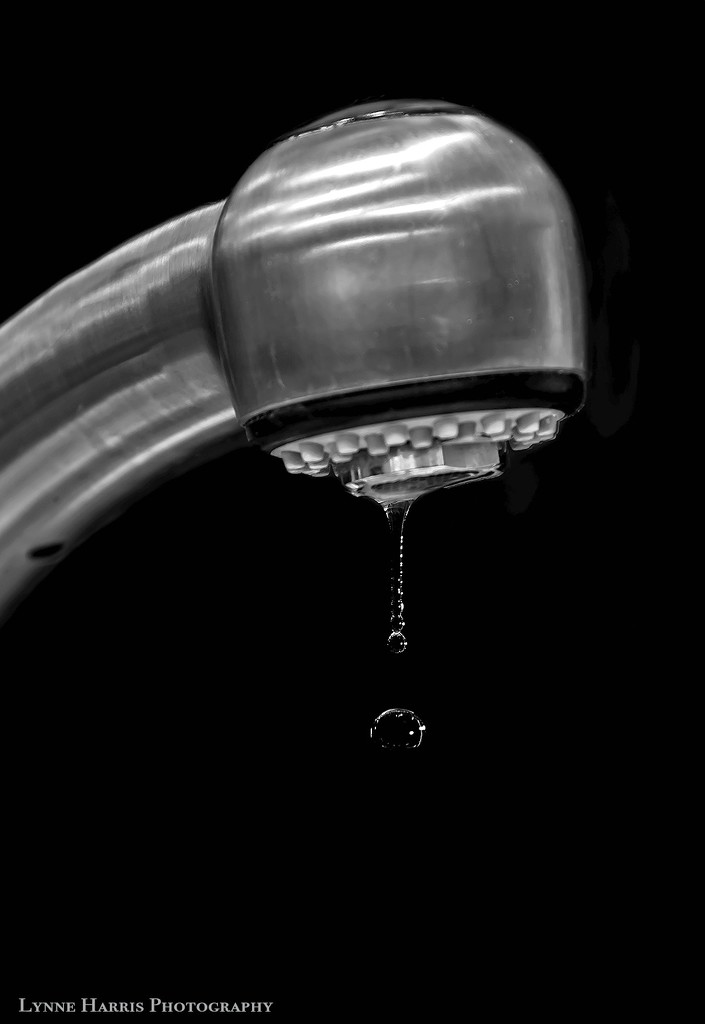 Drippy Faucet II by lynne5477