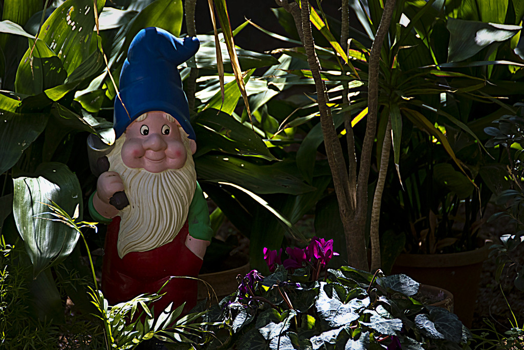 MR GNOME IN THE SHADE by sangwann
