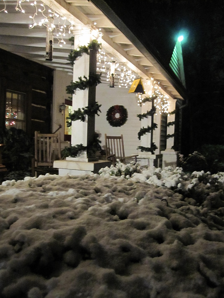 dec 25. white Christmas in Atlanta! by margonaut