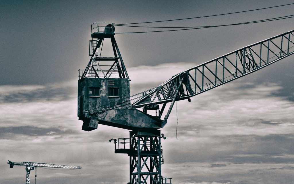 Cockatoo Island - all about the cranes - 5 by annied
