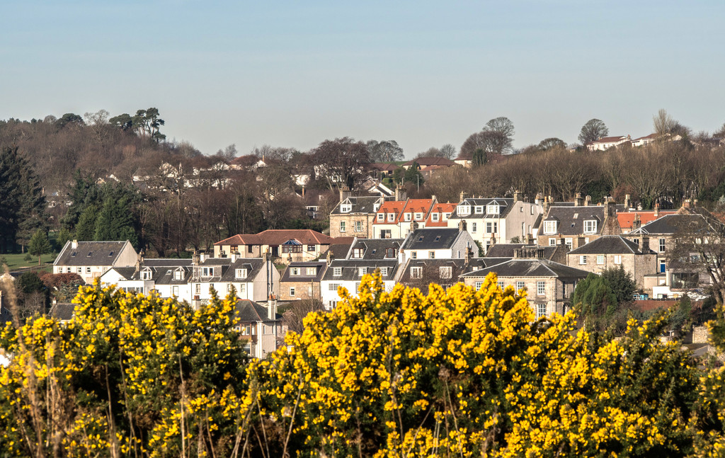 A shot of the village from our walk this morning by frequentframes