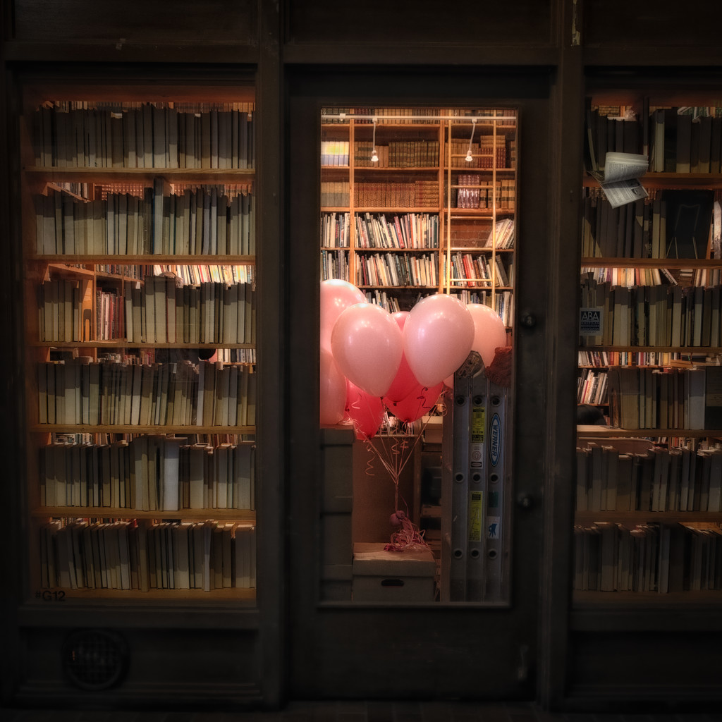 The Magic of Books & Balloons by seattle