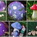 Mushrooms ~ by happysnaps