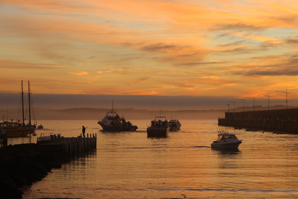 Early morning action in the bay by gilbertwood