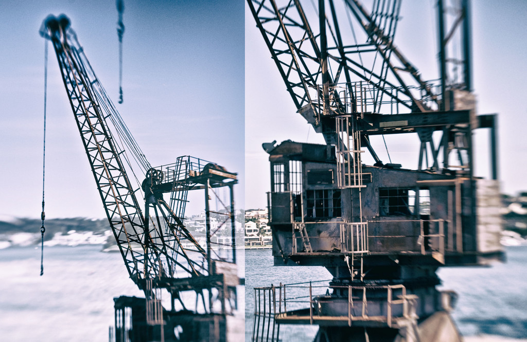 Cockatoo Island - all about the cranes - 6 by annied