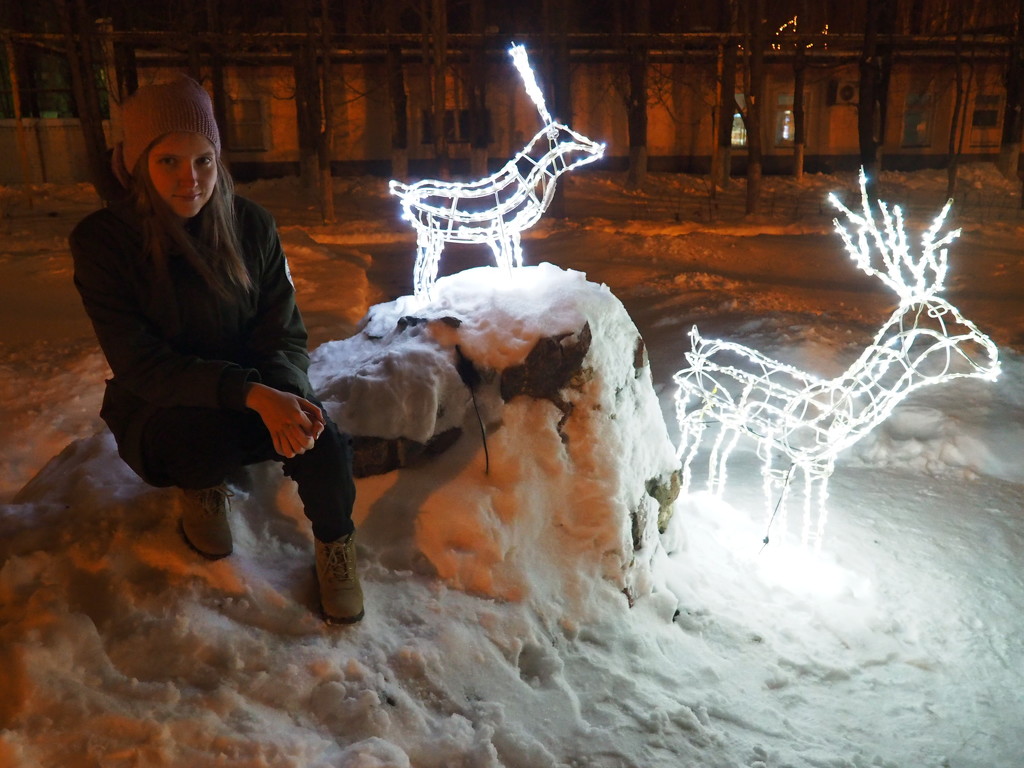Reindeer by inspirare