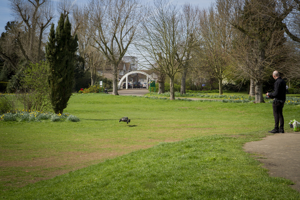 A walk in the Park by browngirl