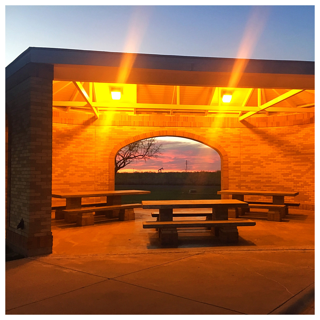 Sunset thru the Pavilion  by wilkinscd
