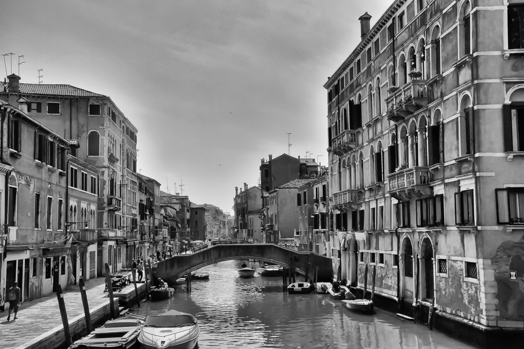Venice canal  by brigette