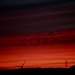 86/365 - Red sky at night. by wag864