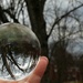 Tree through a crystal ball by mittens