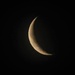 Moonrise at 5AM by marylandgirl58