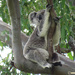 motherhood is so tiring! by koalagardens