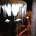 Icy lamppost by juletee