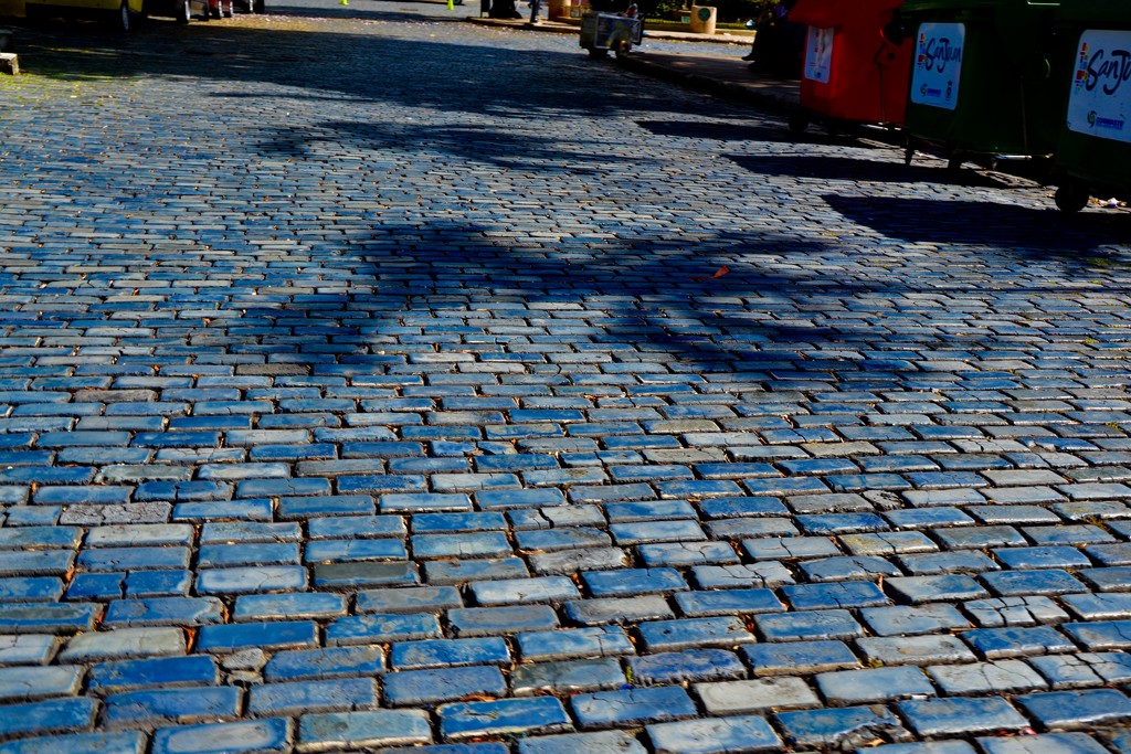 Old San Juan's blue street cobblestones by louannwarren