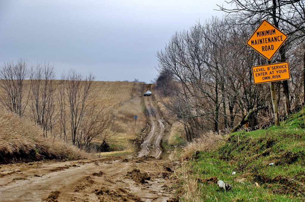 the road less traveled by lynnz