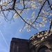 Spring in Manchester by happypat
