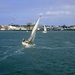 Sailing in Port Phillip by marguerita