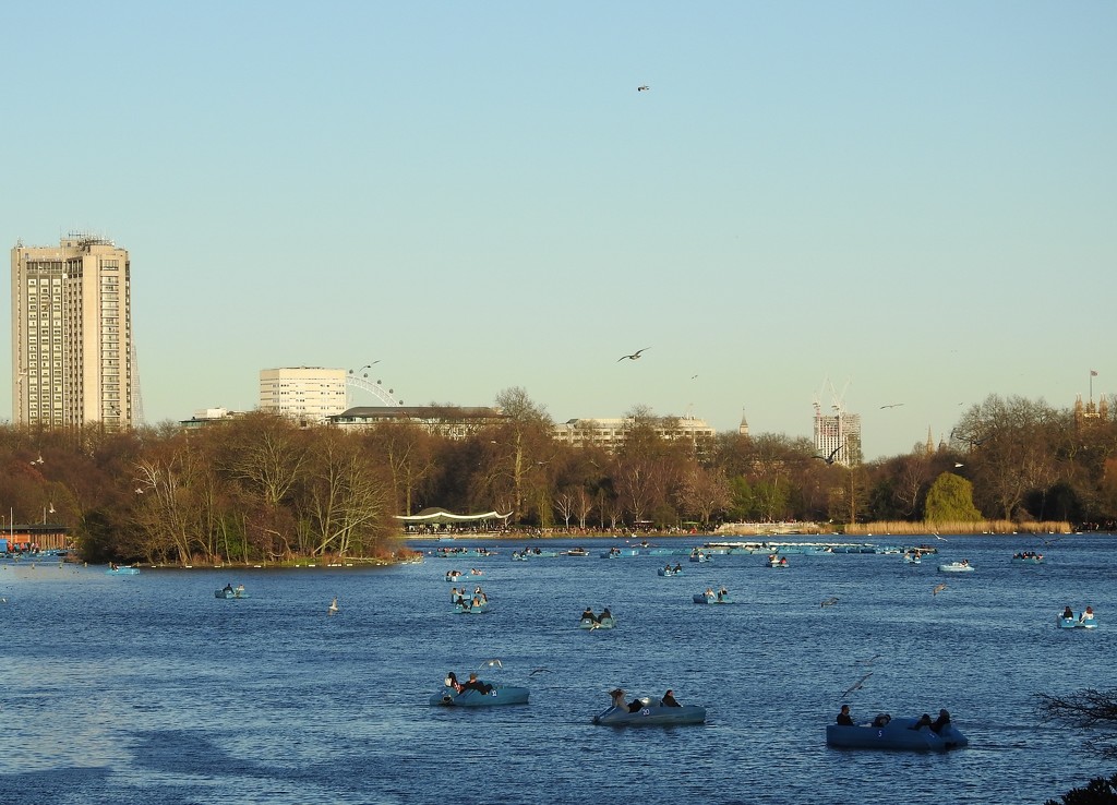 The Serpentine, Hyde Park by oldjosh