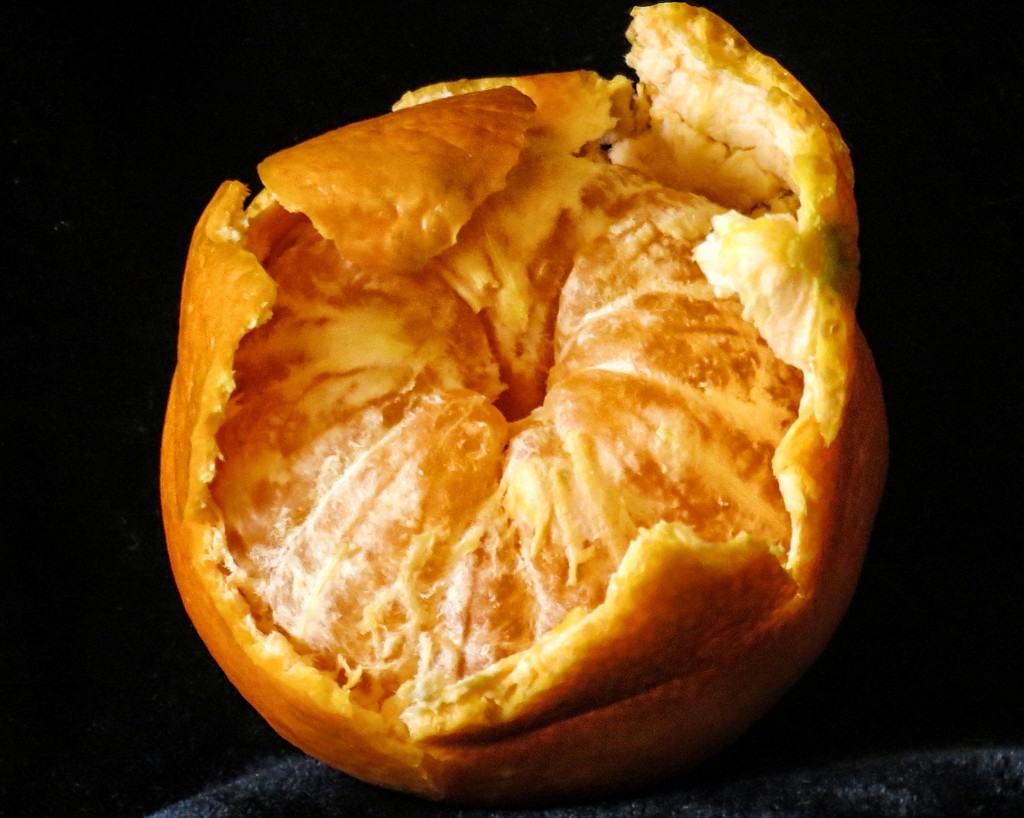 Orange? by grammyn