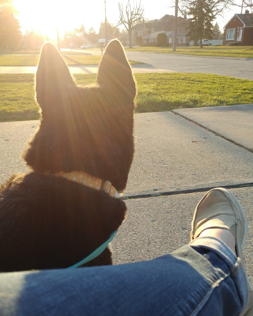Maggie and me just watchin the sunset... by jackies365