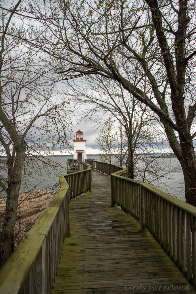 Short walk to the Lighthouse by cindymc