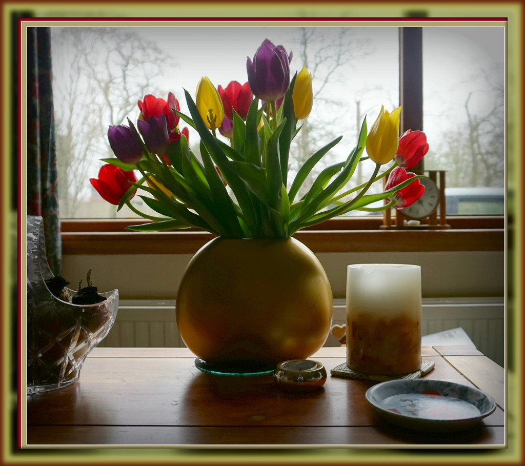 tulips 2 by sarah19