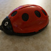 table top crumb pet ladybird by sarah19