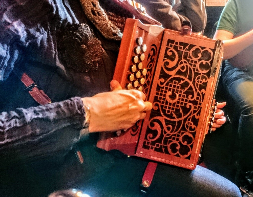 Castagnari melodeon by boxplayer
