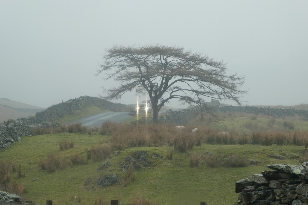 low cloud up The Struggle by anniesue