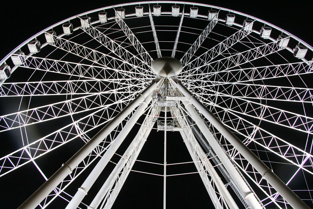 Brisbane Wheel at Night by terryliv
