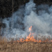 Prescribed burns leaping flames by rminer
