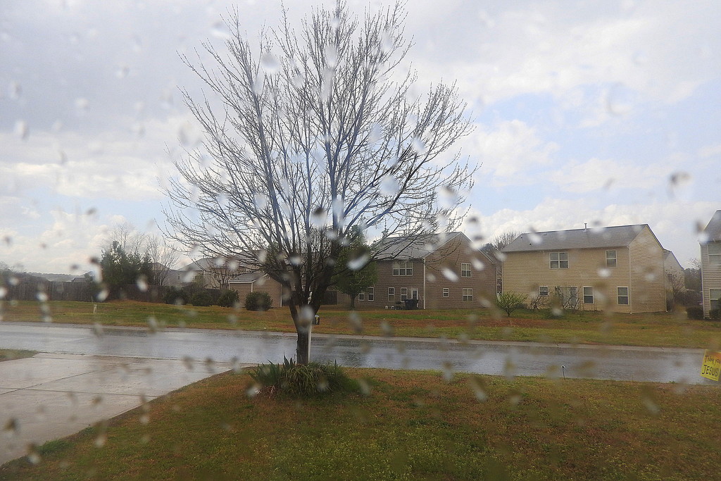 Quick spring rain by homeschoolmom