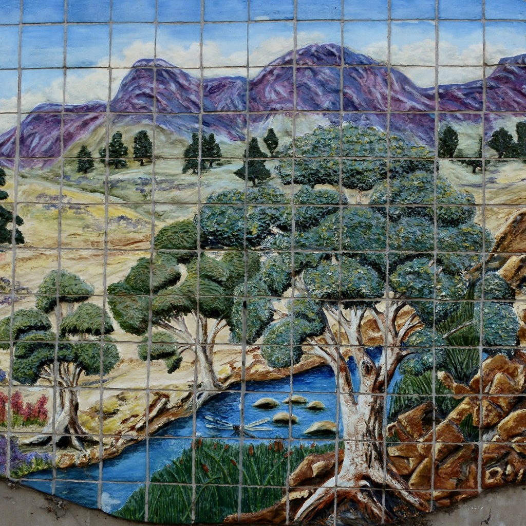 Mural On The Hill, Port Augusta_DSC6317 by merrelyn