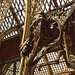 dinosaur in the museum by ianmetcalfe