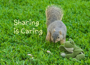 30th Mar 2017 - (Day 45) - Sharing is Caring