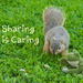 (Day 45) - Sharing is Caring by cjphoto