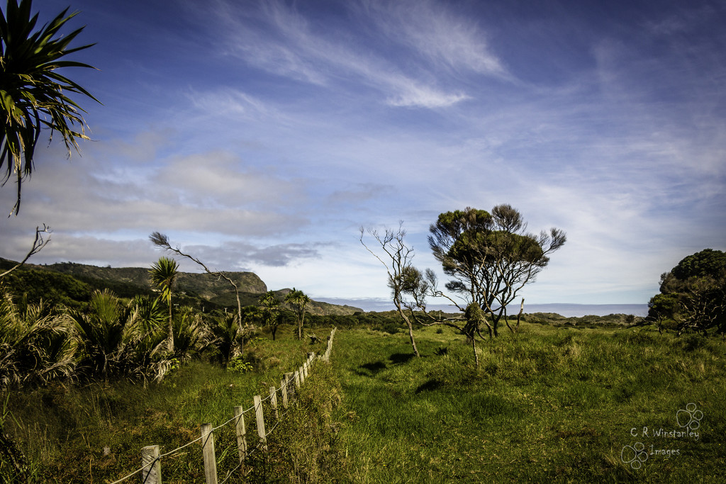 Day 88 Fence Line by kipper1951