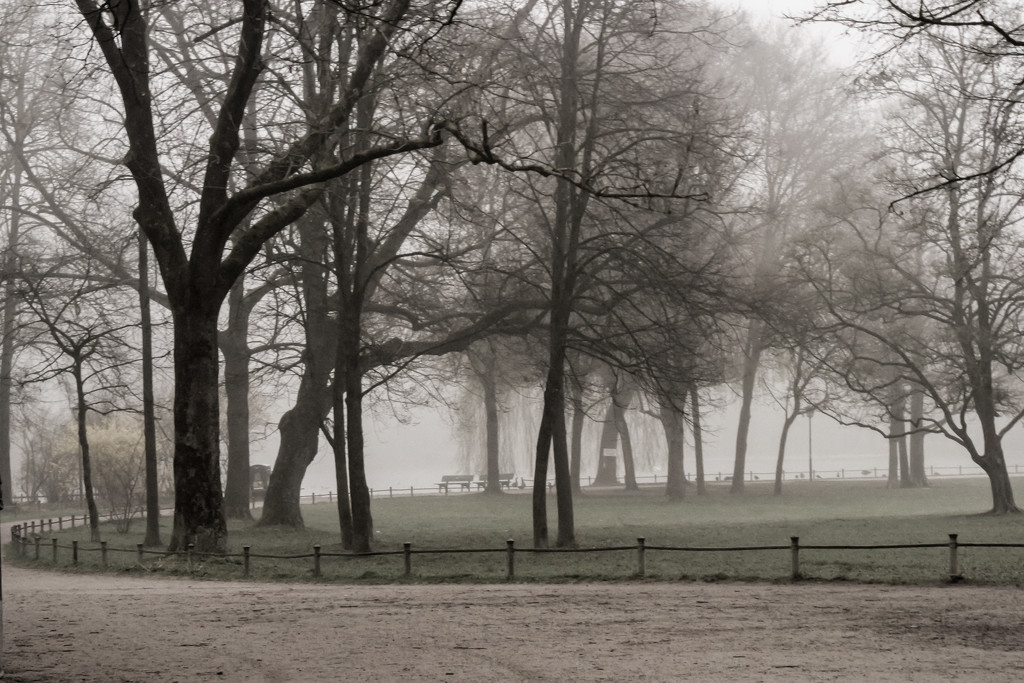 Foggy morning by toinette