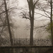 Bridge in the English Garden by toinette