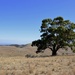 Hancock's Lookout, Flinders Ranges_DSC6333 by merrelyn
