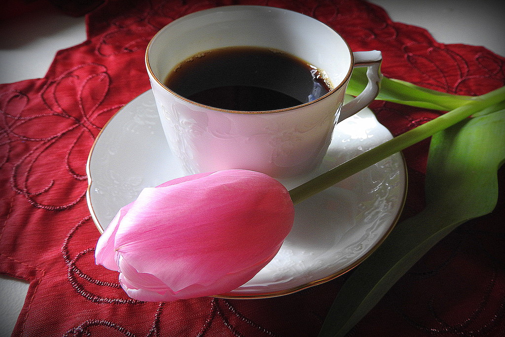 Put coffee tulips and drink! LOL! by homeschoolmom