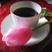 Put coffee tulips and drink! LOL! by homeschoolmom