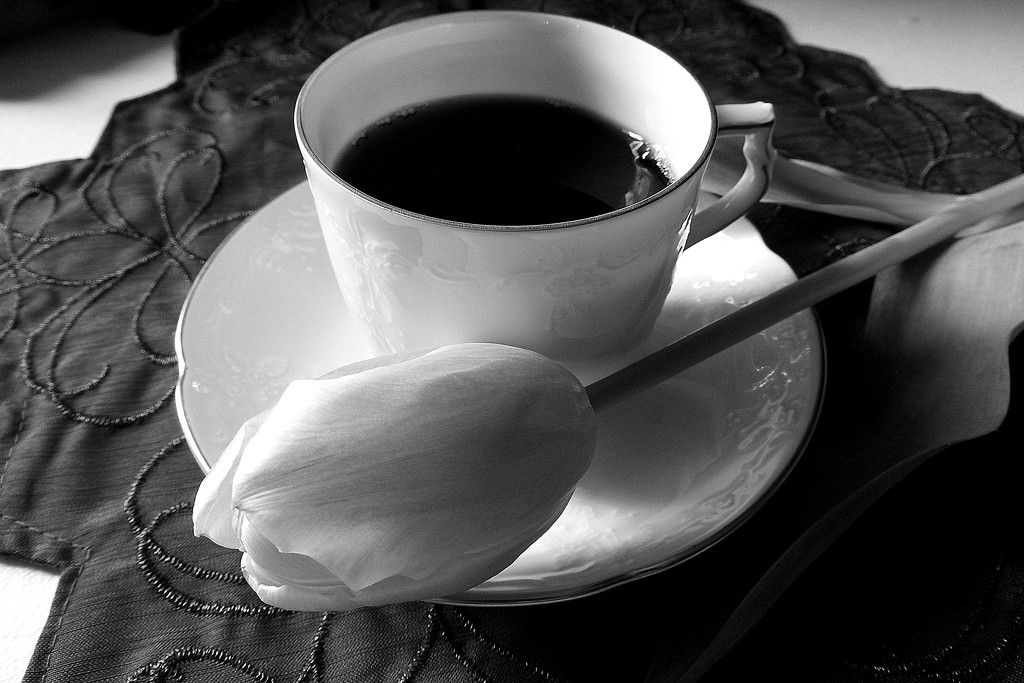 B&W Coffee with Tulip by homeschoolmom